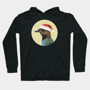 Philippine pitta Hoodie